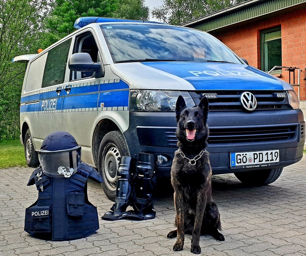 Polizeihund vor Streifenwagen